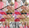 Evenement foto: 636