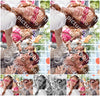 Evenement foto: 636