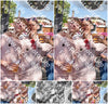 Evenement foto: 635