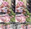 Evenement foto: 635
