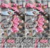 Evenement foto: 632