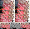 Evenement foto: 632