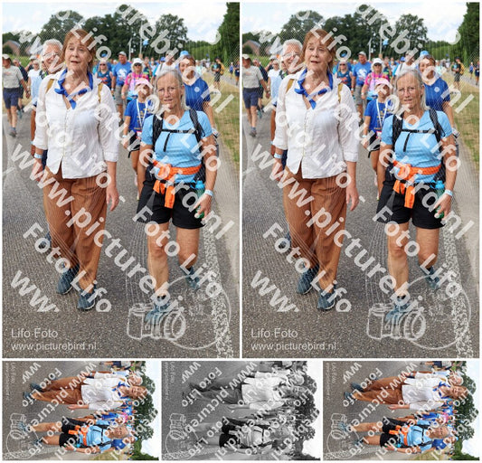 Evenement foto: Nijmeegse Vierdaagse 924