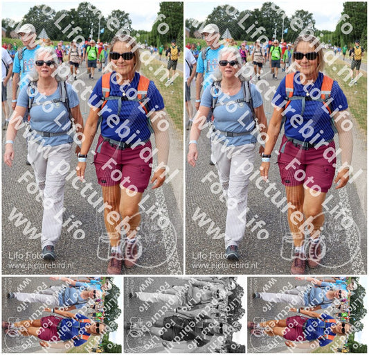 Evenement foto: Nijmeegse Vierdaagse 924