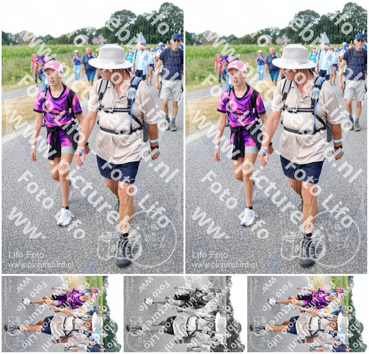 Evenement foto: Nijmeegse Vierdaagse 924