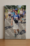 Evenement foto: Nijmeegse Vierdaagse 924