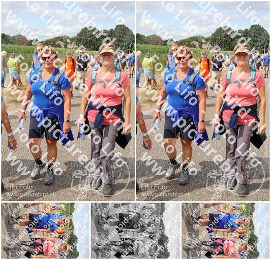 Evenement foto: Nijmeegse Vierdaagse 923
