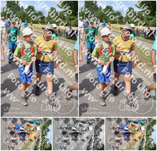 Evenement foto: Nijmeegse Vierdaagse 923