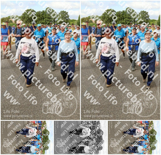 Evenement foto: Nijmeegse Vierdaagse 923