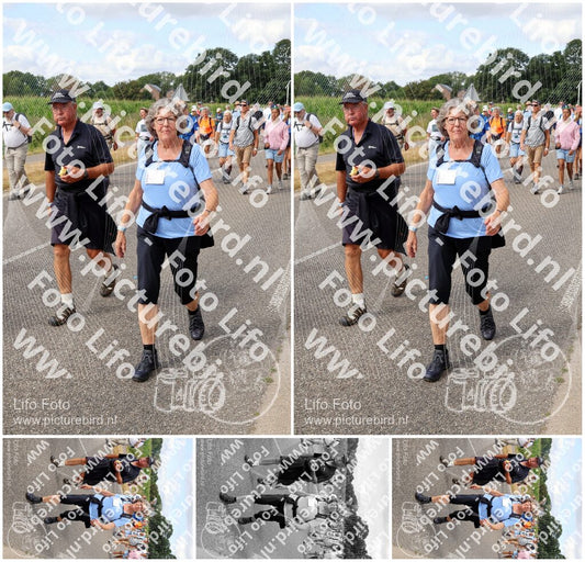 Evenement foto: Nijmeegse Vierdaagse 923