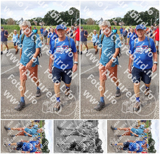 Evenement foto: Nijmeegse Vierdaagse 922