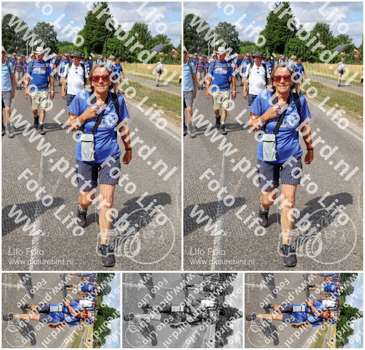 Evenement foto: Nijmeegse Vierdaagse 922