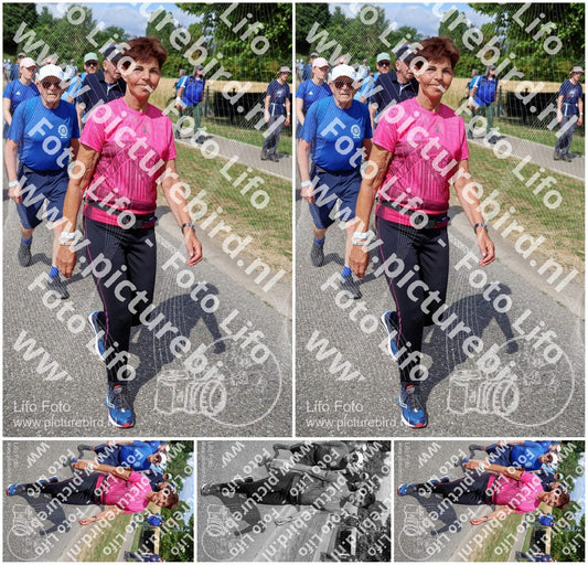 Evenement foto: Nijmeegse Vierdaagse 922