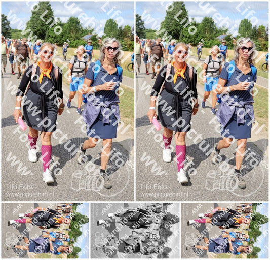 Evenement foto: Nijmeegse Vierdaagse 922