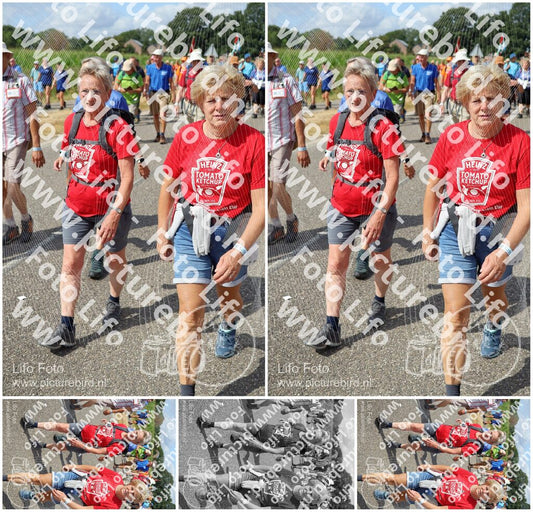 Evenement foto: Nijmeegse Vierdaagse 922