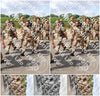Evenement foto: Nijmeegse Vierdaagse 922