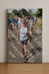 Evenement foto: Nijmeegse Vierdaagse 922