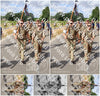 Evenement foto: Nijmeegse Vierdaagse 922