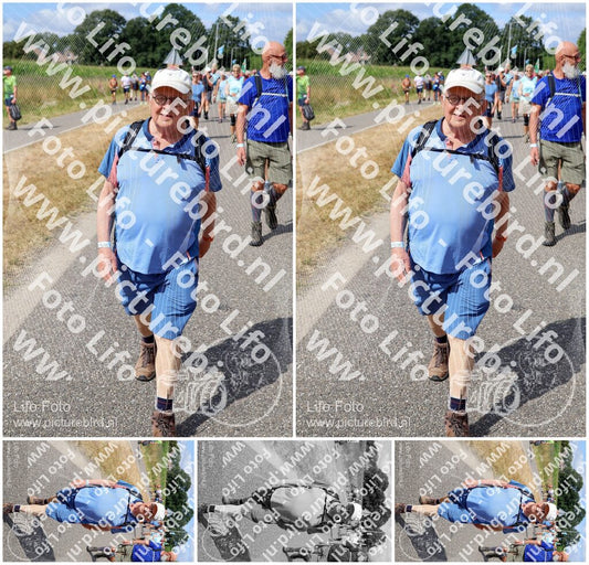 Evenement foto: Nijmeegse Vierdaagse 922