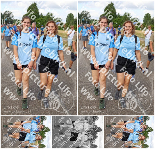 Evenement foto: Nijmeegse Vierdaagse 921