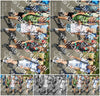 Evenement foto: Nijmeegse Vierdaagse 921