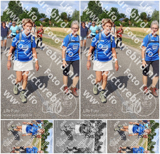 Evenement foto: Nijmeegse Vierdaagse 921