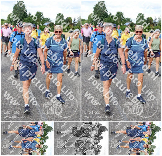 Evenement foto: Nijmeegse Vierdaagse 921