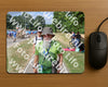 Evenement foto: Nijmeegse Vierdaagse 920