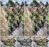 Evenement foto: Nijmeegse Vierdaagse 919