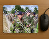 Evenement foto: Nijmeegse Vierdaagse 919
