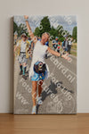 Evenement foto: Nijmeegse Vierdaagse 919