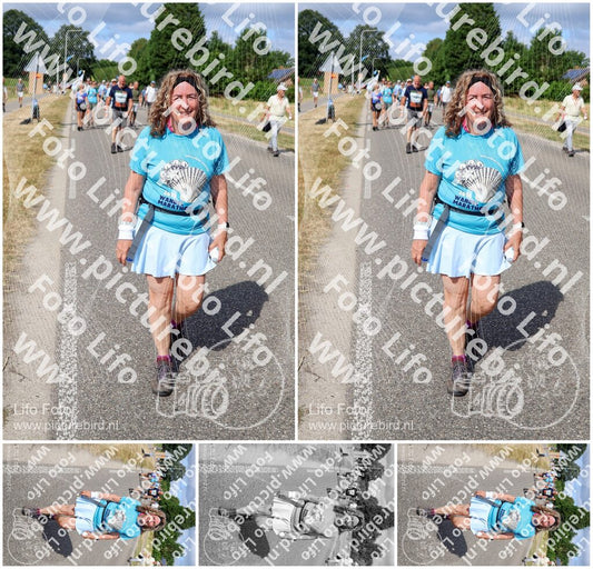 Evenement foto: Nijmeegse Vierdaagse 919