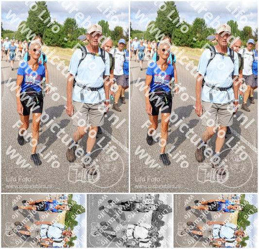 Evenement foto: Nijmeegse Vierdaagse 919
