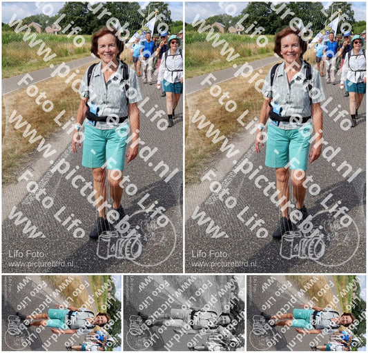 Evenement foto: Nijmeegse Vierdaagse 919