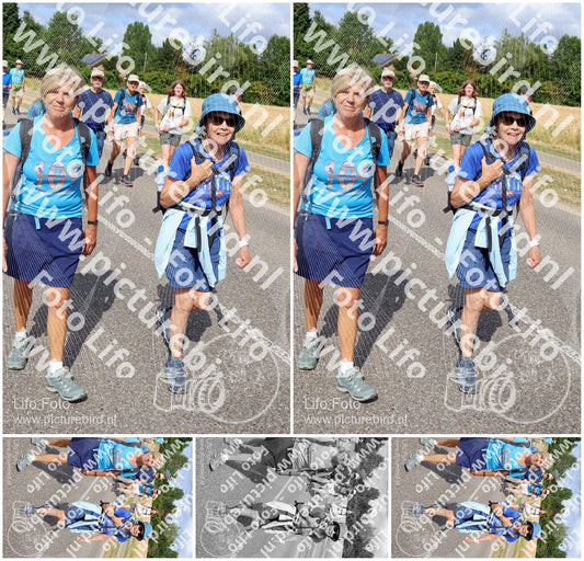 Evenement foto: Nijmeegse Vierdaagse 919