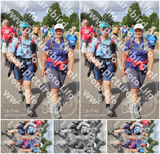 Evenement foto: Nijmeegse Vierdaagse 919