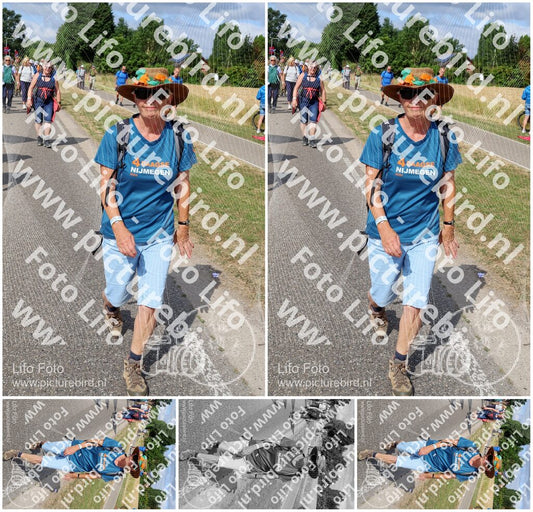 Evenement foto: Nijmeegse Vierdaagse 919
