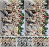 Evenement foto: Nijmeegse Vierdaagse 919