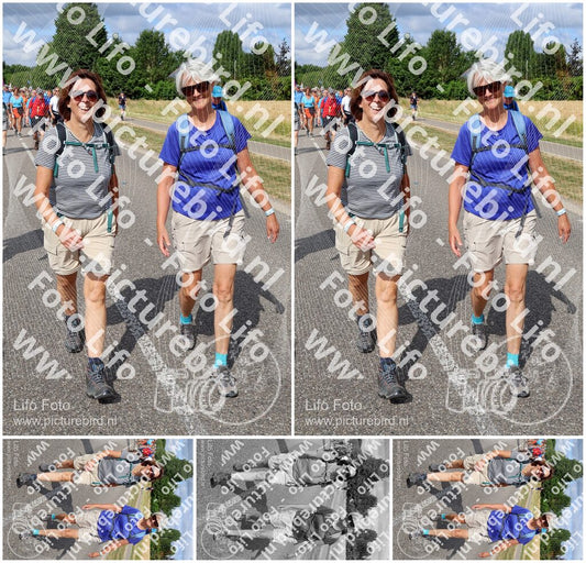 Evenement foto: Nijmeegse Vierdaagse 919