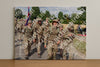 Evenement foto: Nijmeegse Vierdaagse 919