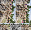 Evenement foto: Nijmeegse Vierdaagse 919