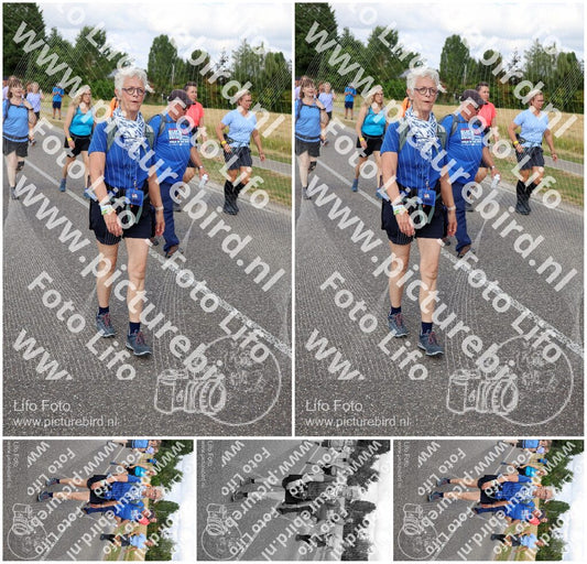 Evenement foto: Nijmeegse Vierdaagse 918