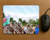 Evenement foto: Nijmeegse Vierdaagse 918