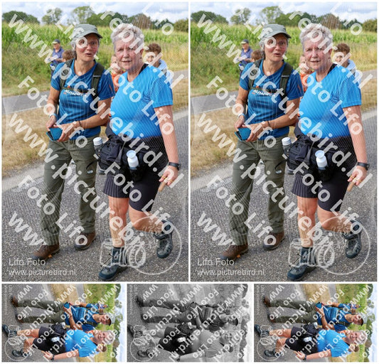 Evenement foto: Nijmeegse Vierdaagse 918