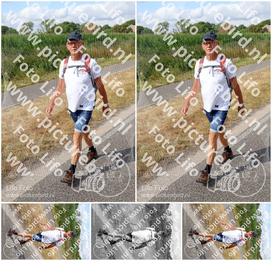 Evenement foto: Nijmeegse Vierdaagse 918