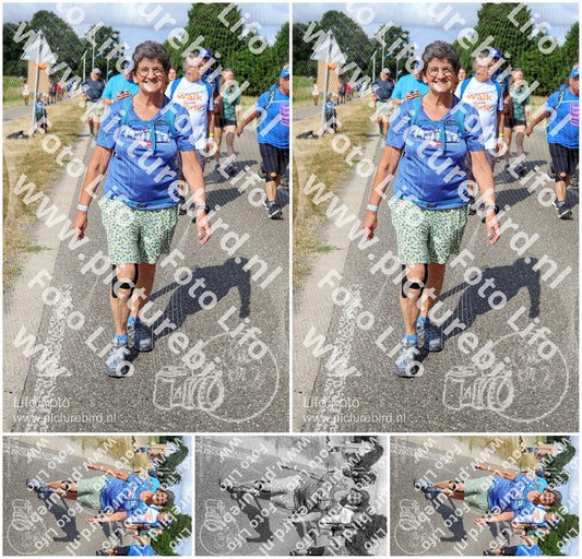 Evenement foto: Nijmeegse Vierdaagse 918