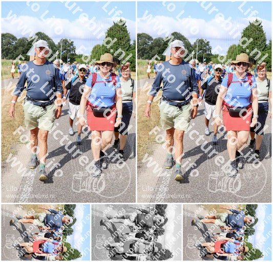 Evenement foto: Nijmeegse Vierdaagse 918