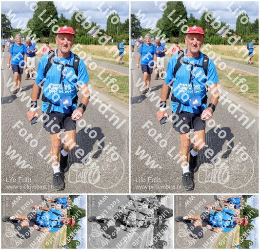 Evenement foto: Nijmeegse Vierdaagse 918