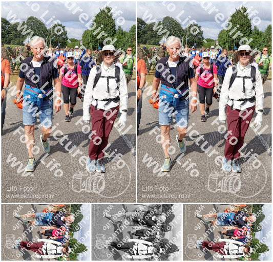 Evenement foto: Nijmeegse Vierdaagse 918