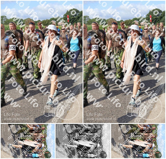 Evenement foto: Nijmeegse Vierdaagse 917